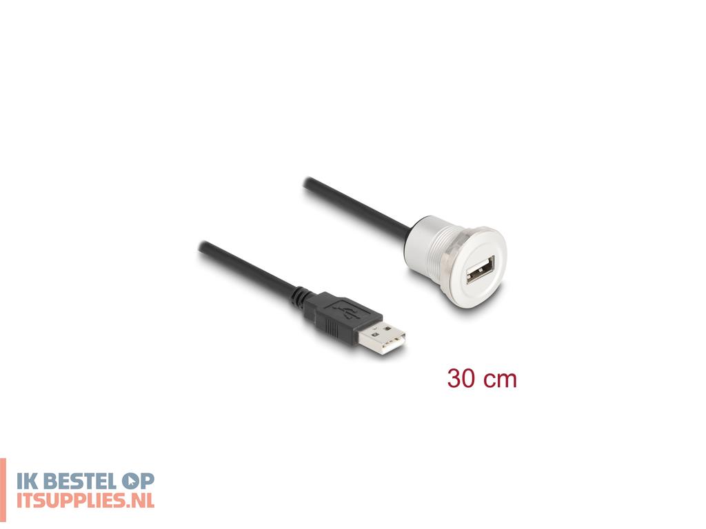 0726037-delock_88181_usb-kabel_usb_20_0-3_m_usb_a_zwart-_zilver