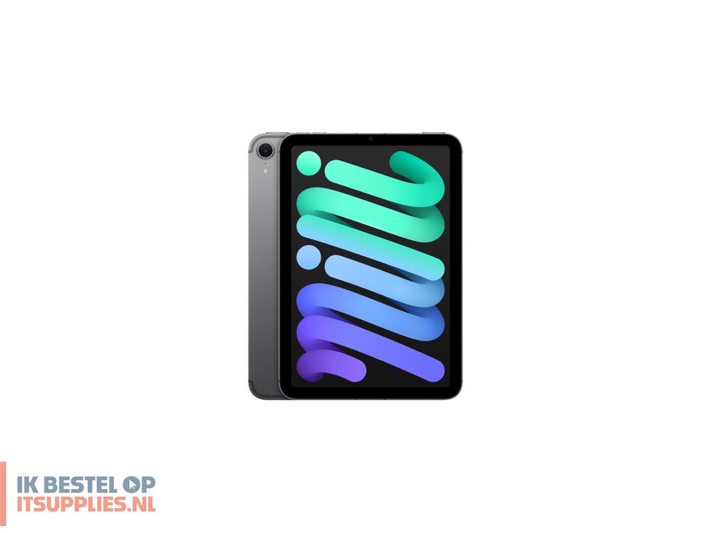 1644841-apple_ipad_mini_5g_td-lte_fdd-lte_128_gb_21-1_cm_83_wi-fi_6e_80211ax_ipados_18_grijs