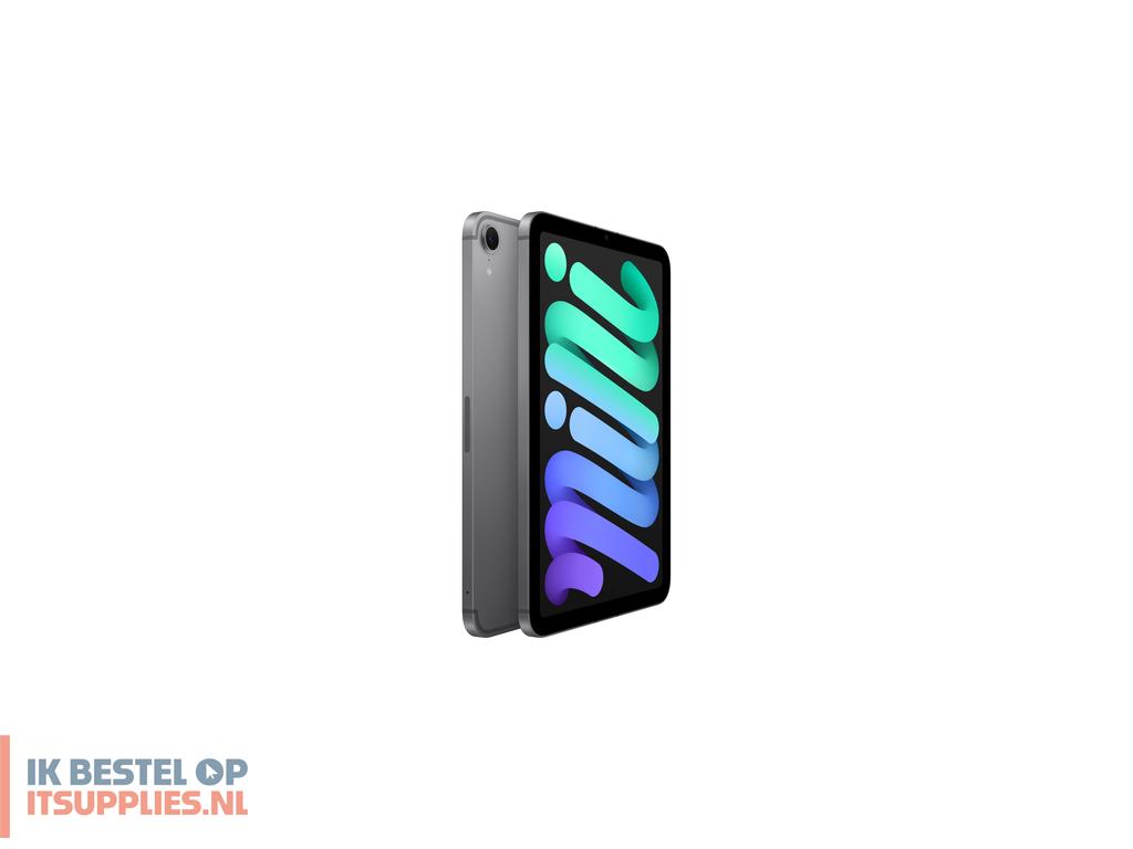 1648633-apple_ipad_mini_5g_td-lte_fdd-lte_128_gb_21-1_cm_83_wi-fi_6e_80211ax_ipados_18_grijs