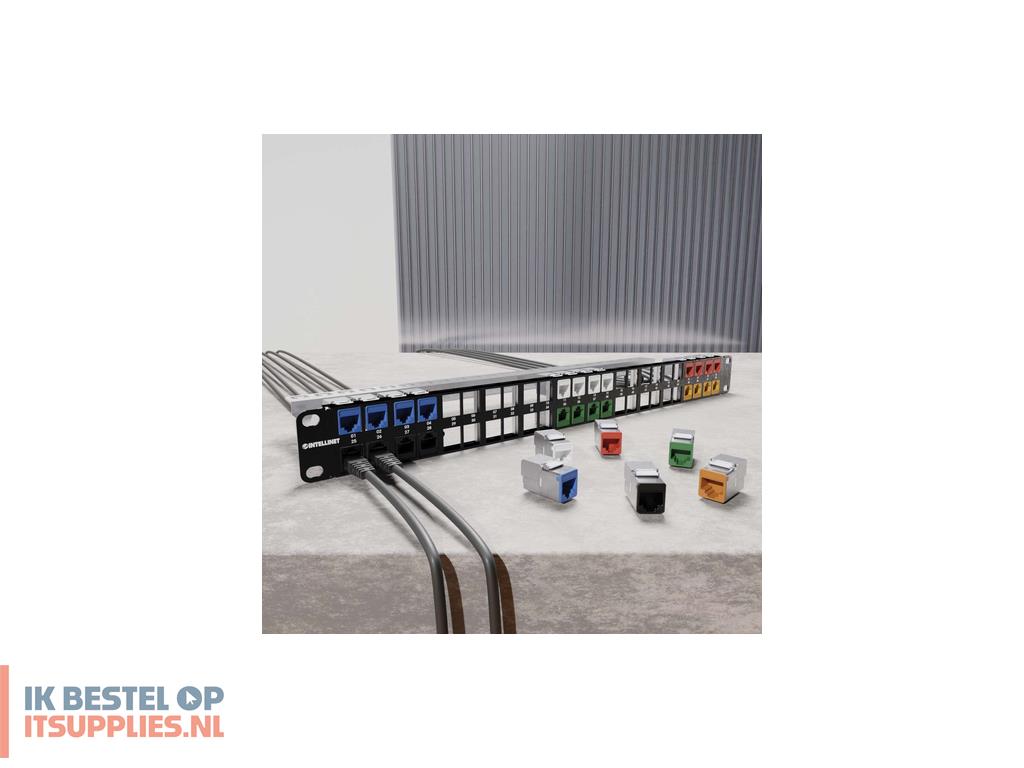 0152683-intellinet_791298_keystonemodule
