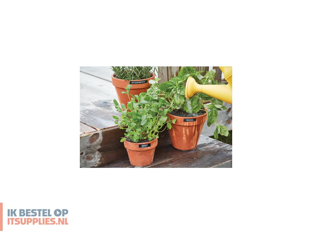 0156294-dymo_labelmanager_280_labelprinter_thermo_transfer_d1_qwerty