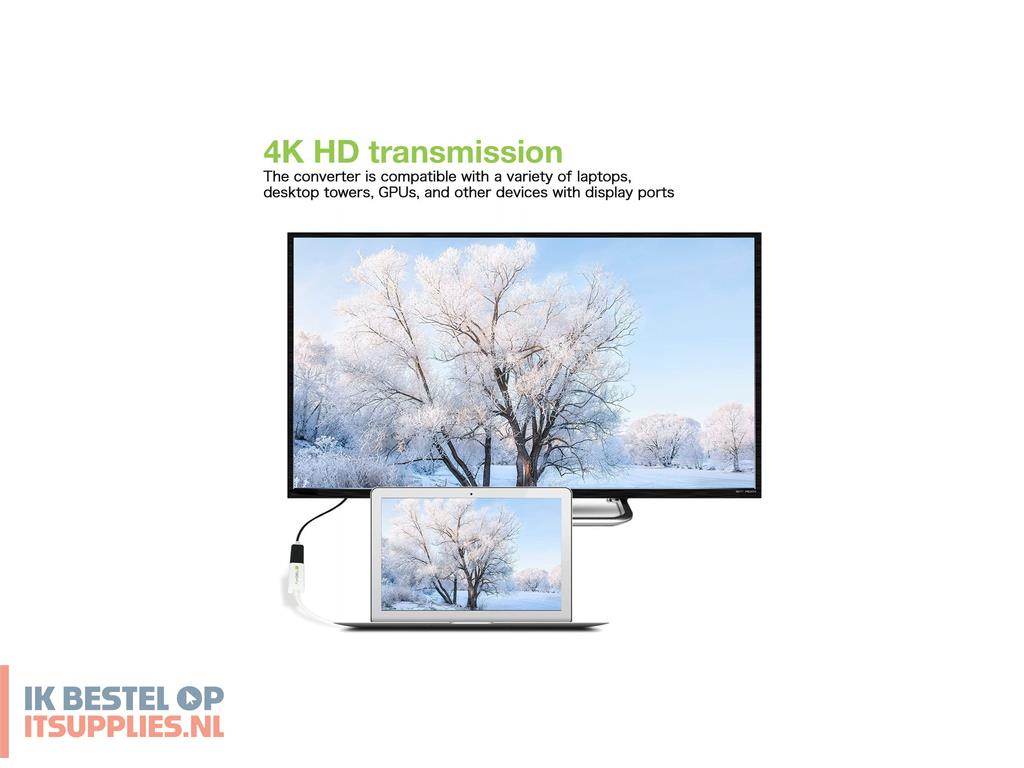 4139958-techly_iadap_dp-hdmifp4_video_kabel_adapter_0-2_m_displayport_hdmi_wit