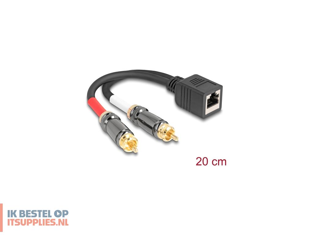 3458972-delock_88172_audio_kabel_0-2_m_rj-45_2_x_rca_zwart