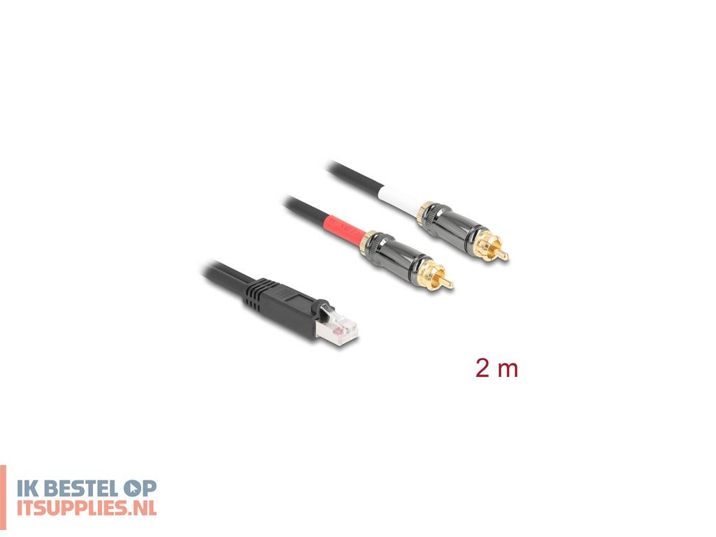 2613249-delock_88171_audio_kabel_2_m_rj-45_2_x_rca_zwart