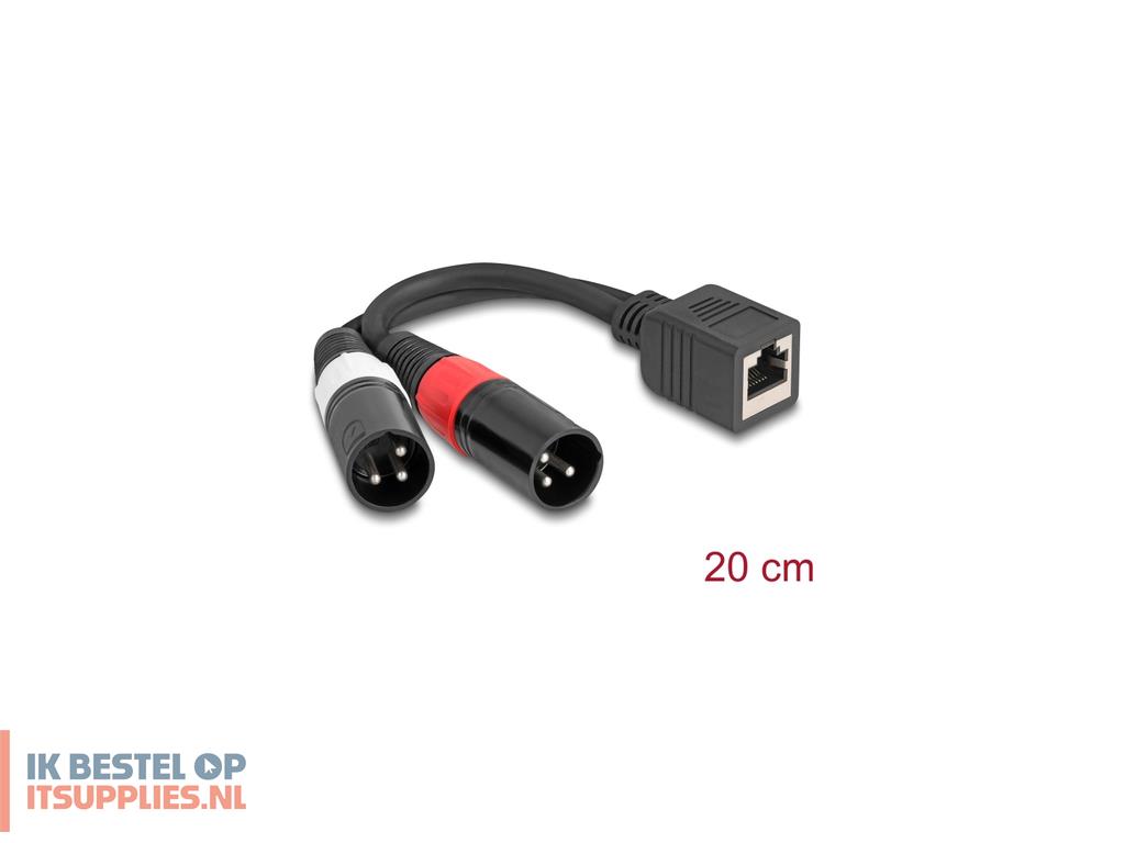 4936648-delock_88179_audio_kabel_0-2_m_rj-45_2_x_xlr_3-pin_zwart