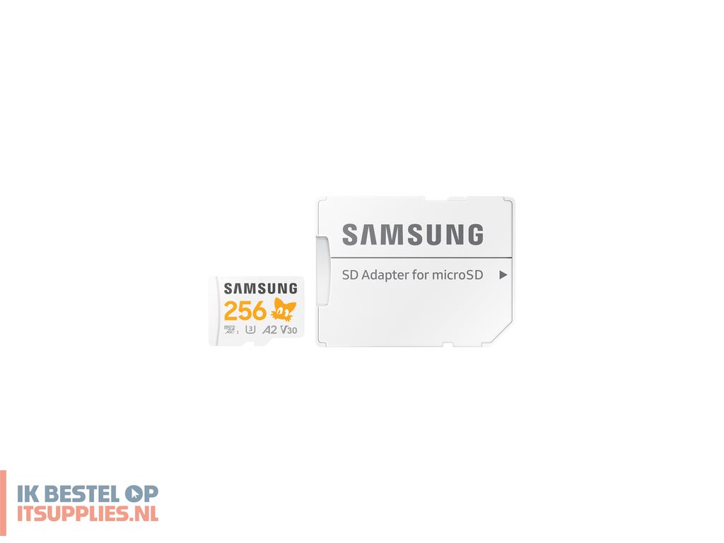 4527018-samsung_mb-md256s_256_gb_microsdxc_uhs-i_klasse_10