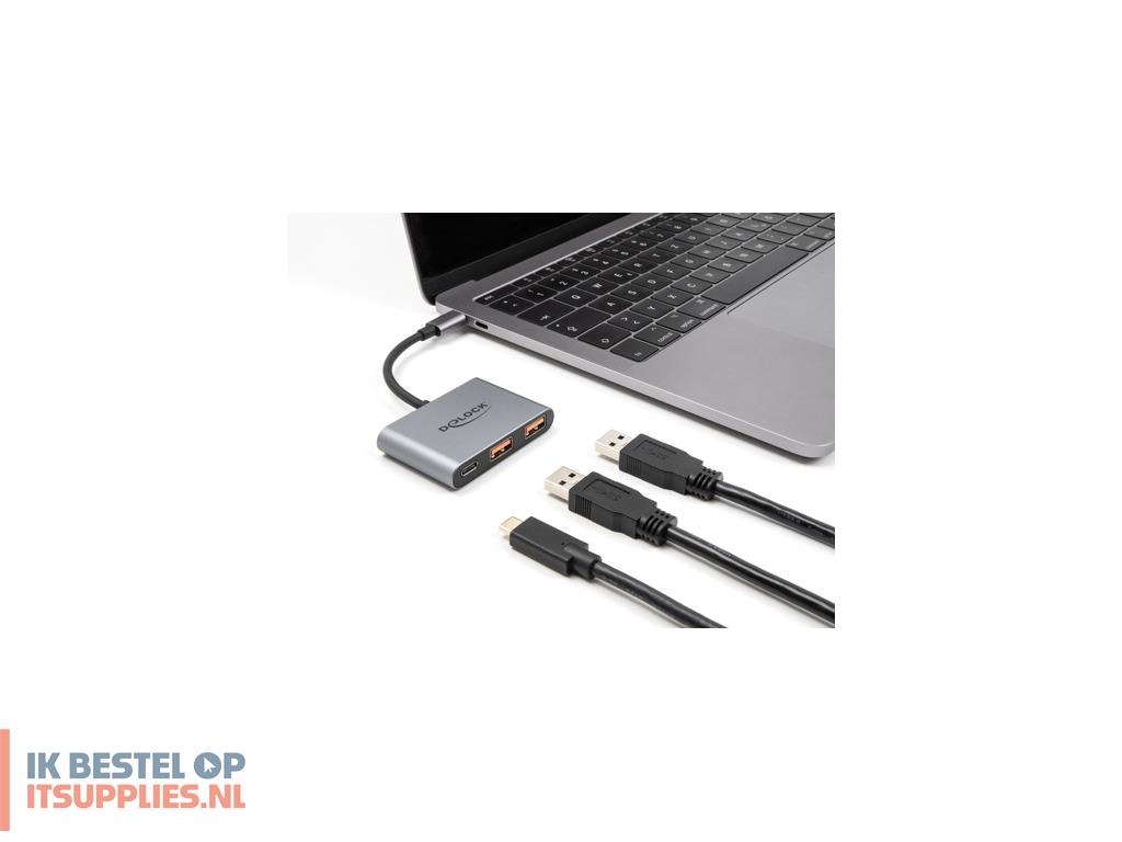 4942947-delock_64337_interface_hub_usb_32_gen_2_31_gen_2_type-c_10000_mbits_grijs