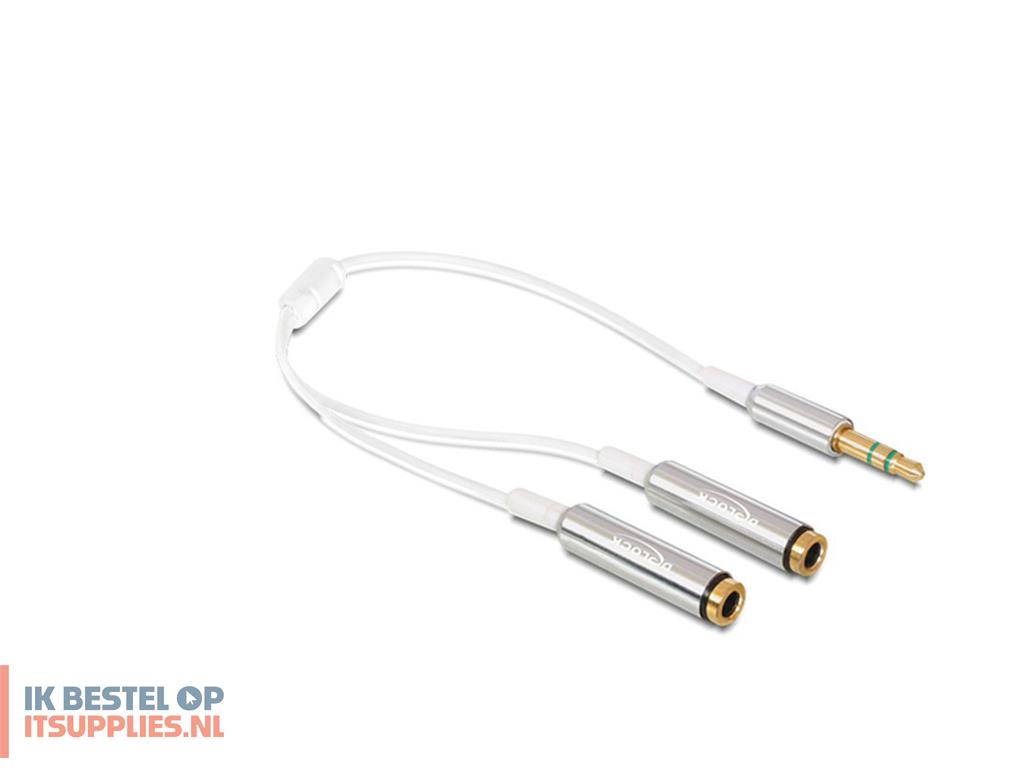 0929760-delock_65355_audio_kabel_0-25_m_35mm_2_x_35mm_zilver-_wit