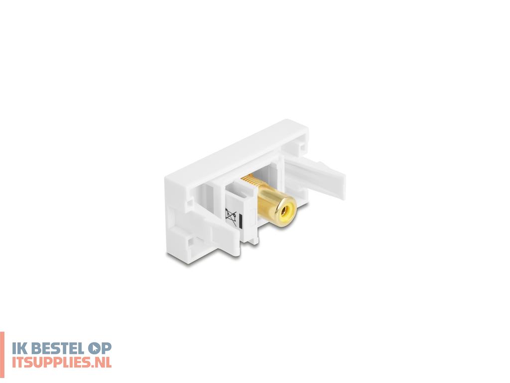 4607294-delock_90859_keystonemodule