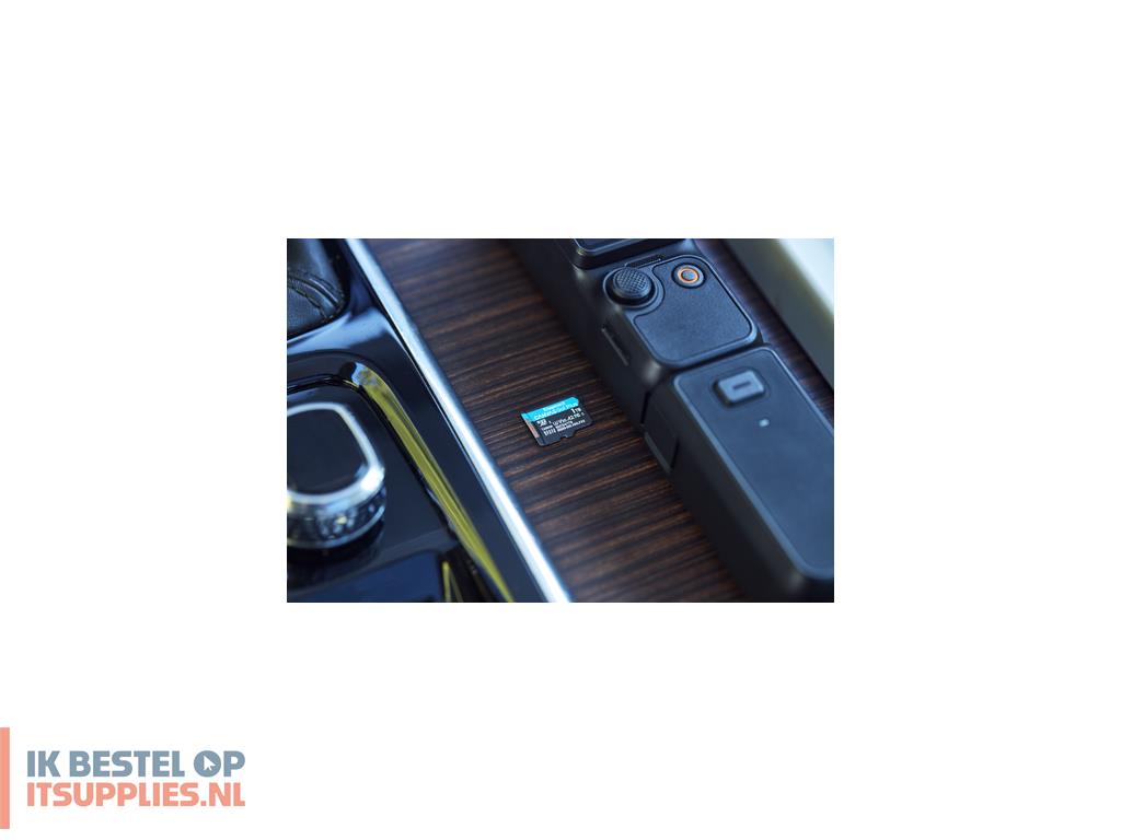 4030182-kingston_technology_canvas_go_plus_microsd_uhs-i_klasse_10