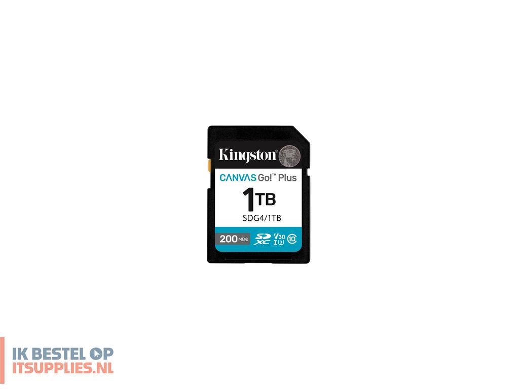 5513812-kingston_technology_canvas_go_plus_klasse_10