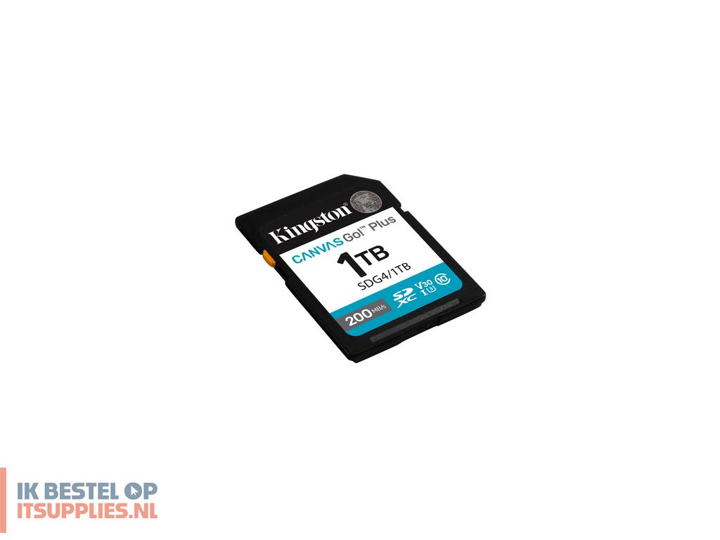 5518284-kingston_technology_canvas_go_plus_klasse_10