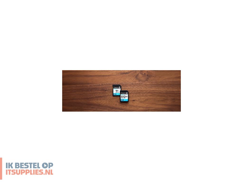 5536544-kingston_technology_canvas_go_plus_klasse_10