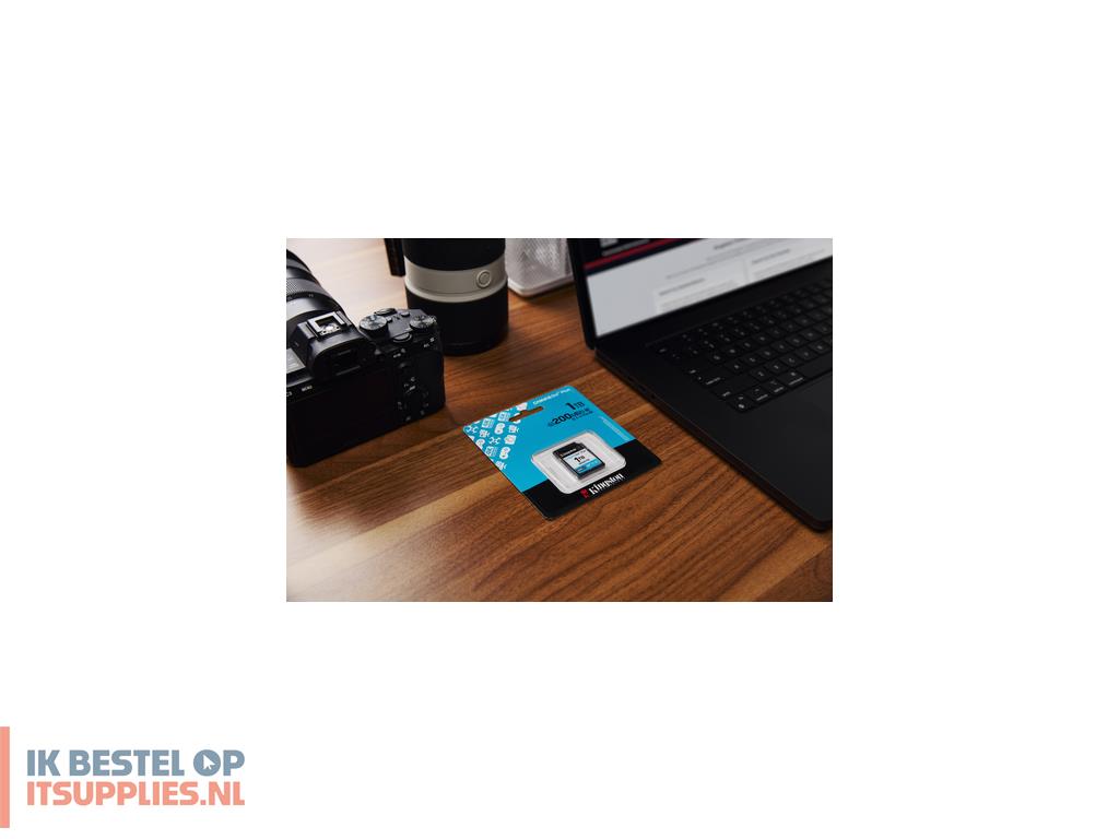 5539109-kingston_technology_canvas_go_plus_klasse_10