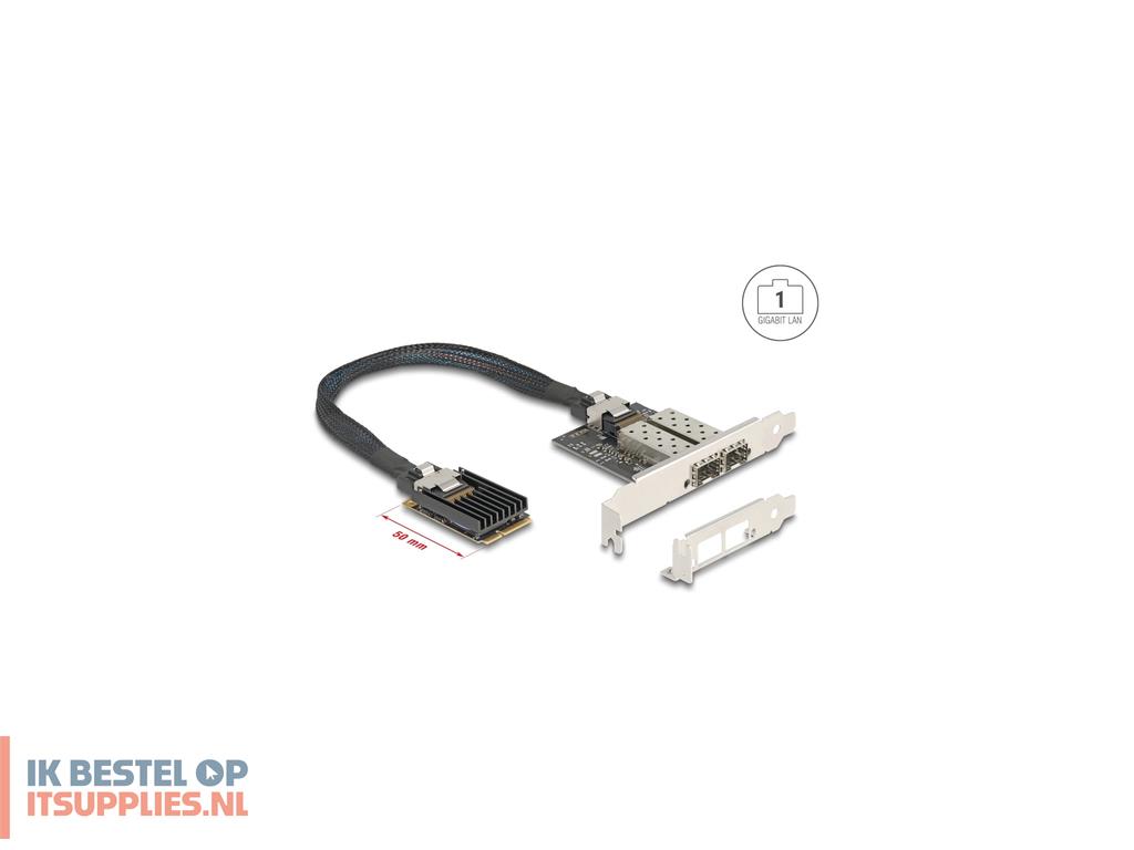 2313653-delock_95281_interfacekaart-adapter_intern_sfp