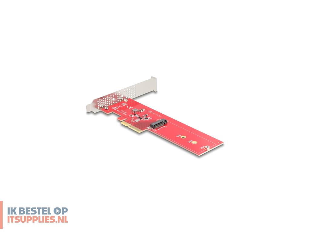 2513398-delock_90889_interfacekaart-adapter_intern_m2