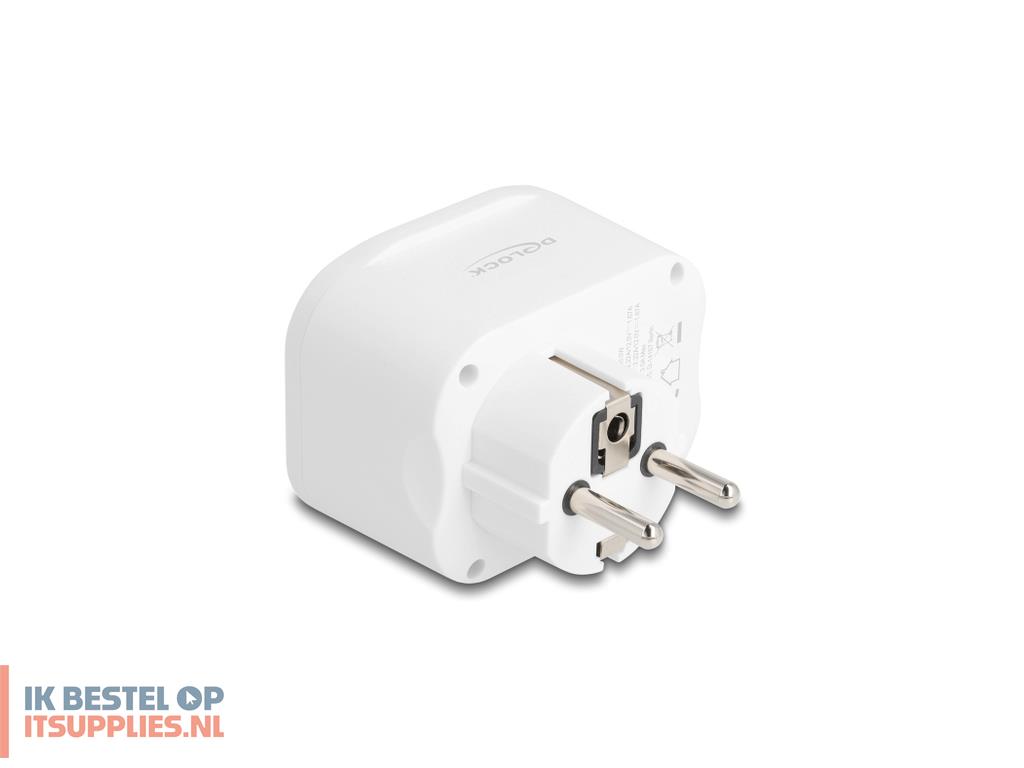 3119618-delock_11498_netstekker_adapter_type_ef_hybride_type_f_wit