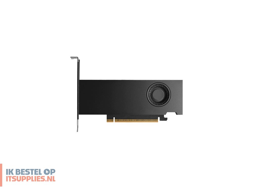 3113869-pny_rtx_pro_2000_blackwell_nvidia_16_gb_gddr7