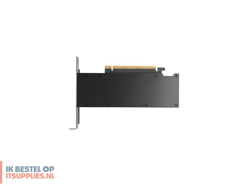 3115334-pny_rtx_pro_2000_blackwell_nvidia_16_gb_gddr7