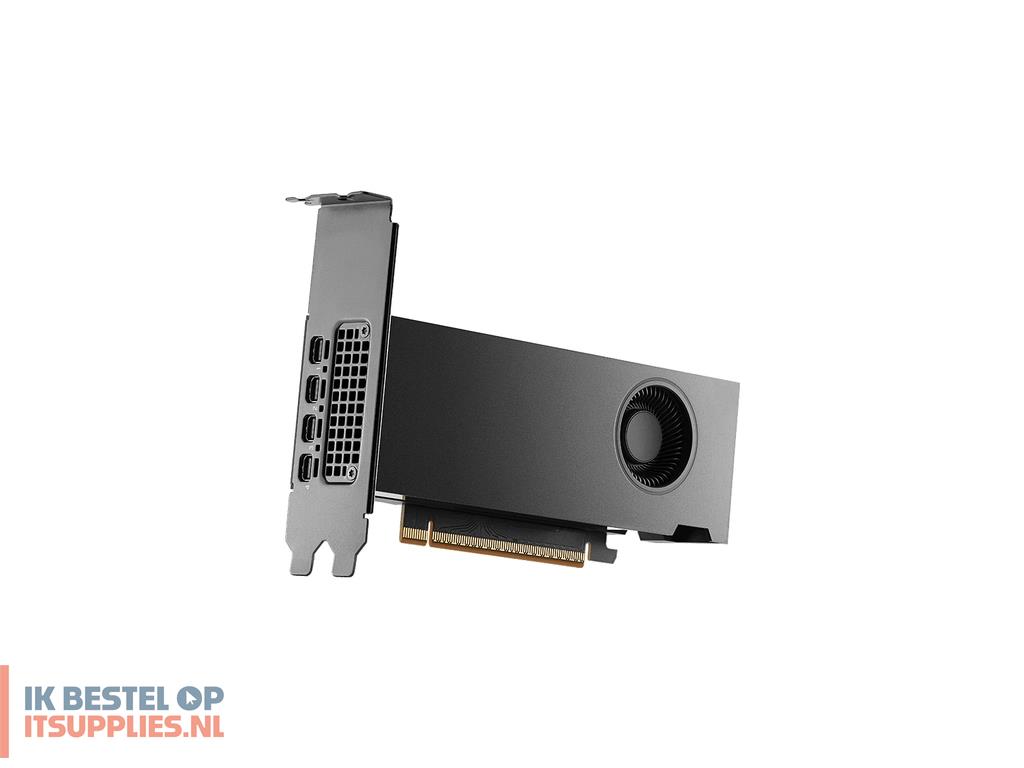 3116873-pny_rtx_pro_2000_blackwell_nvidia_16_gb_gddr7