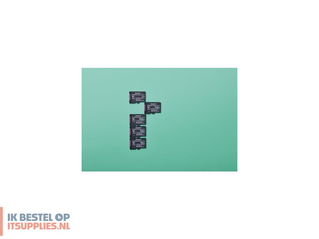 5609030-kingston_technology_canvas_select_plus_gen3_microsdxc_uhs-i_klasse_10