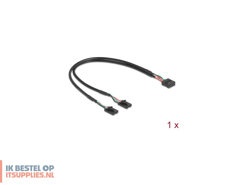 3449112-delock_61072_interfacekaart-adapter_intern_usb_20