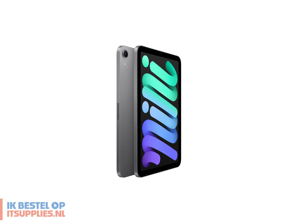 1744700-apple_ipad_mini_128_gb_21-1_cm_83_wi-fi_6e_80211ax_ipados_18_grijs