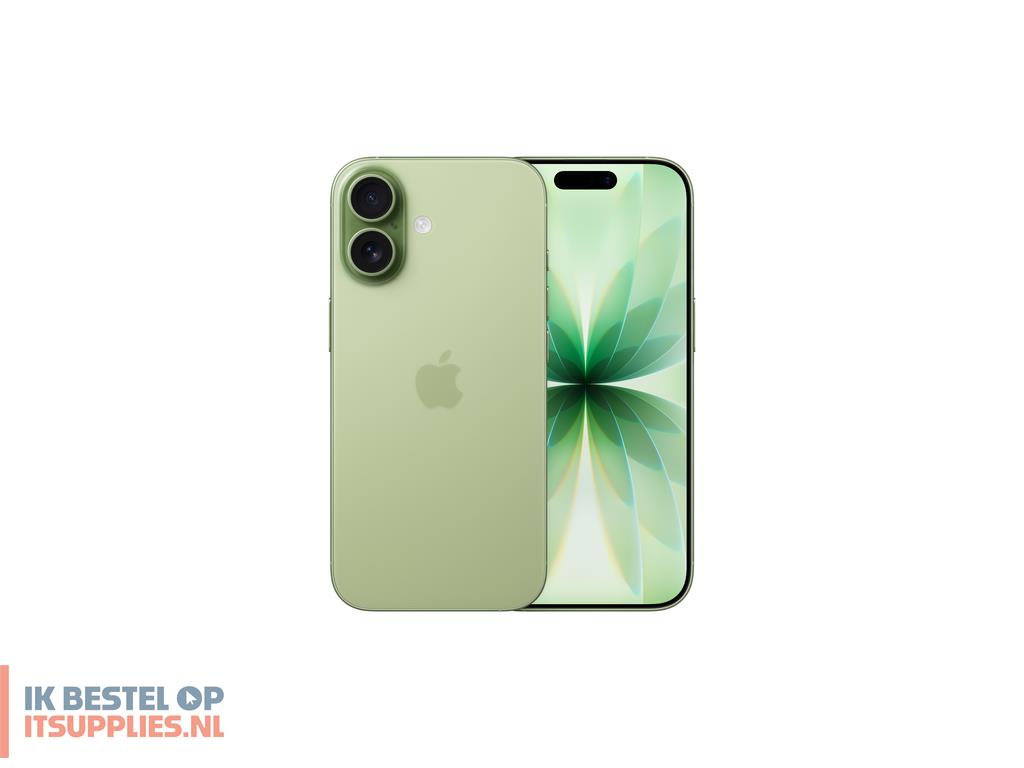 1924409-apple_iphone_17_16_cm_63_dual_sim_ios_26_5g_usb_type-c_256_gb_salie