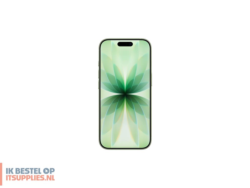 1932672-apple_iphone_17_16_cm_63_dual_sim_ios_26_5g_usb_type-c_256_gb_salie