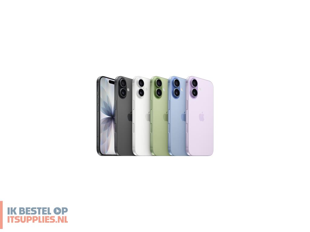 1943922-apple_iphone_17_16_cm_63_dual_sim_ios_26_5g_usb_type-c_256_gb_salie