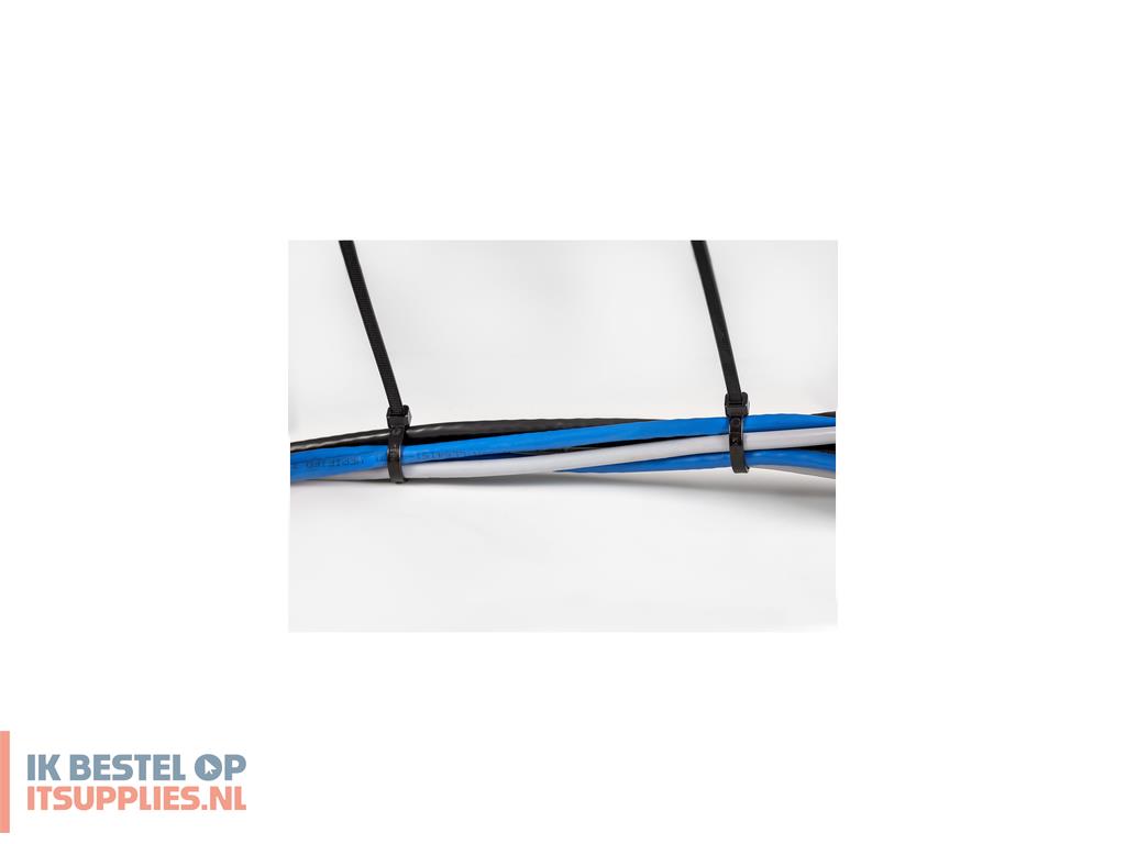 0820329-startechcom_cbmzt10bk_kabelbinder_losmaakbare_kabelbinder_nylon-_kunststof_zwart_1000_stuks