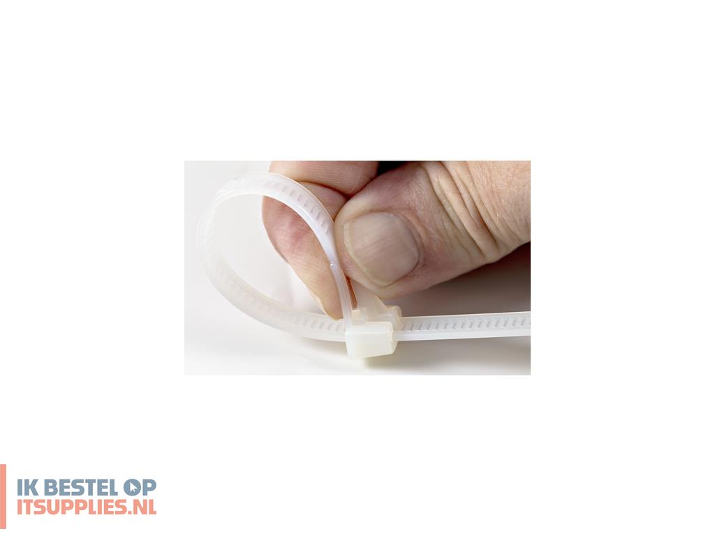 4549381-startechcom_cbmztrb10_kabelbinder_losmaakbare_kabelbinder_nylon-_kunststof_wit_100_stuks