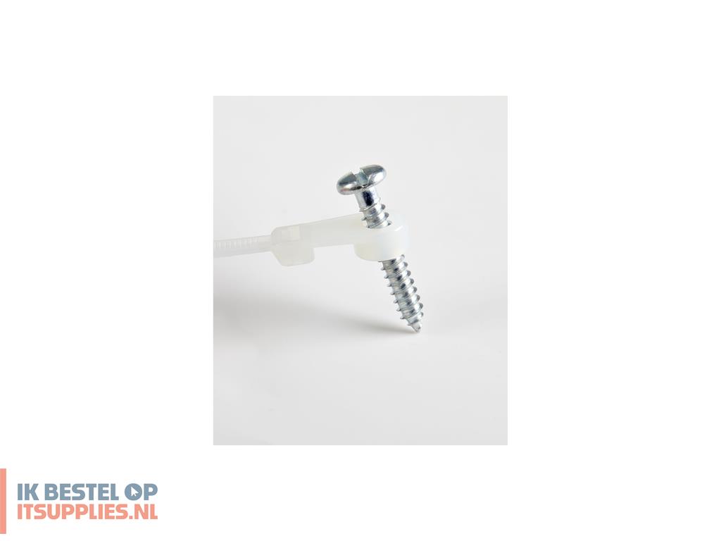 3017799-startechcom_cbmzts10n6_kabelbinder_losmaakbare_kabelbinder_nylon-_kunststof_wit_100_stuks