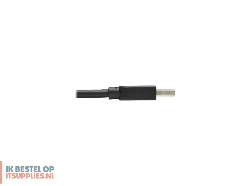 1828060-tripp_lite_u325-010_usb-kabel_usb_32_gen_1_31_gen_1_3_m_usb_a_zwart