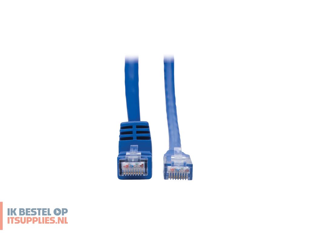 1731172-tripp_lite_n204-001-bl-dn_netwerkkabel_blauw_0-31_m_cat6_uutp_utp