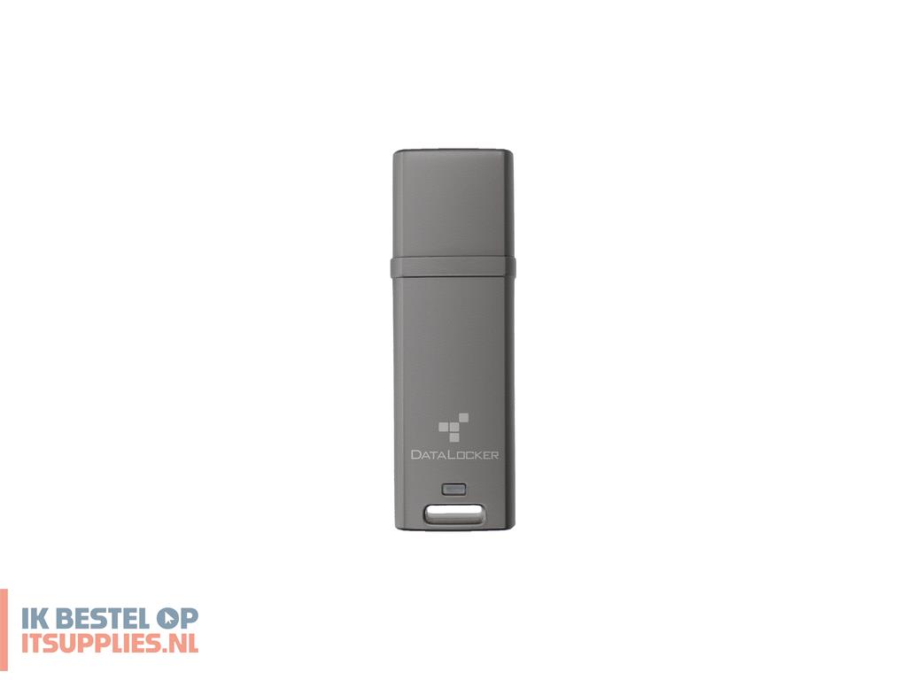 1732746-datalocker_dl_go_usb_flash_drive_64_gb_usb_type-a_32_gen_2_31_gen_2_grijs