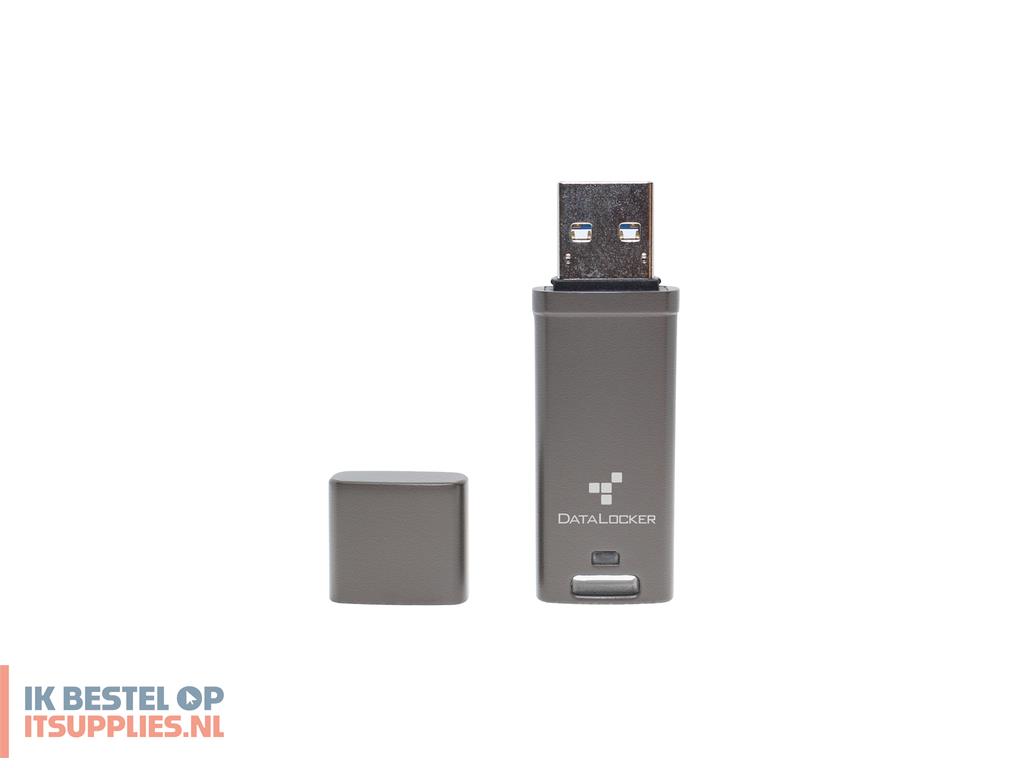 1737360-datalocker_dl_go_usb_flash_drive_64_gb_usb_type-a_32_gen_2_31_gen_2_grijs