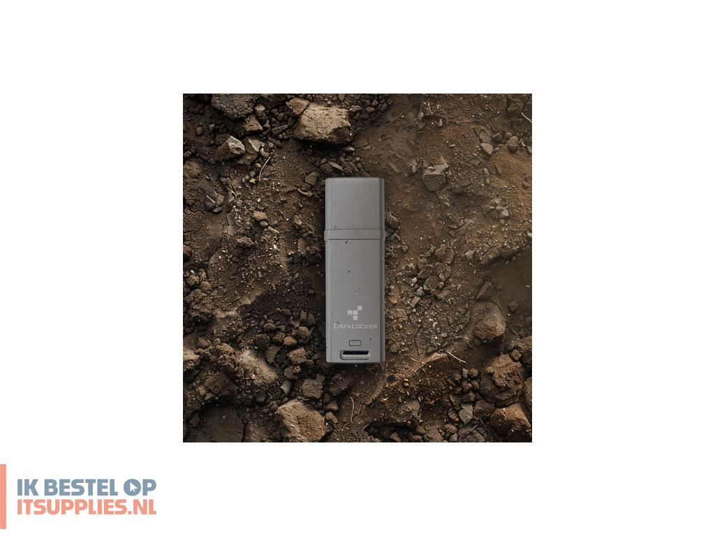 1743011-datalocker_dl_go_usb_flash_drive_64_gb_usb_type-a_32_gen_2_31_gen_2_grijs