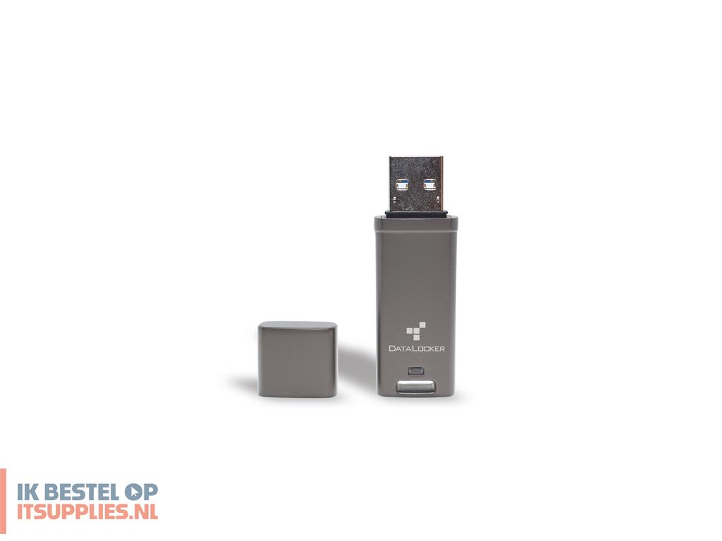 1744949-datalocker_dl_go_usb_flash_drive_64_gb_usb_type-a_32_gen_2_31_gen_2_grijs