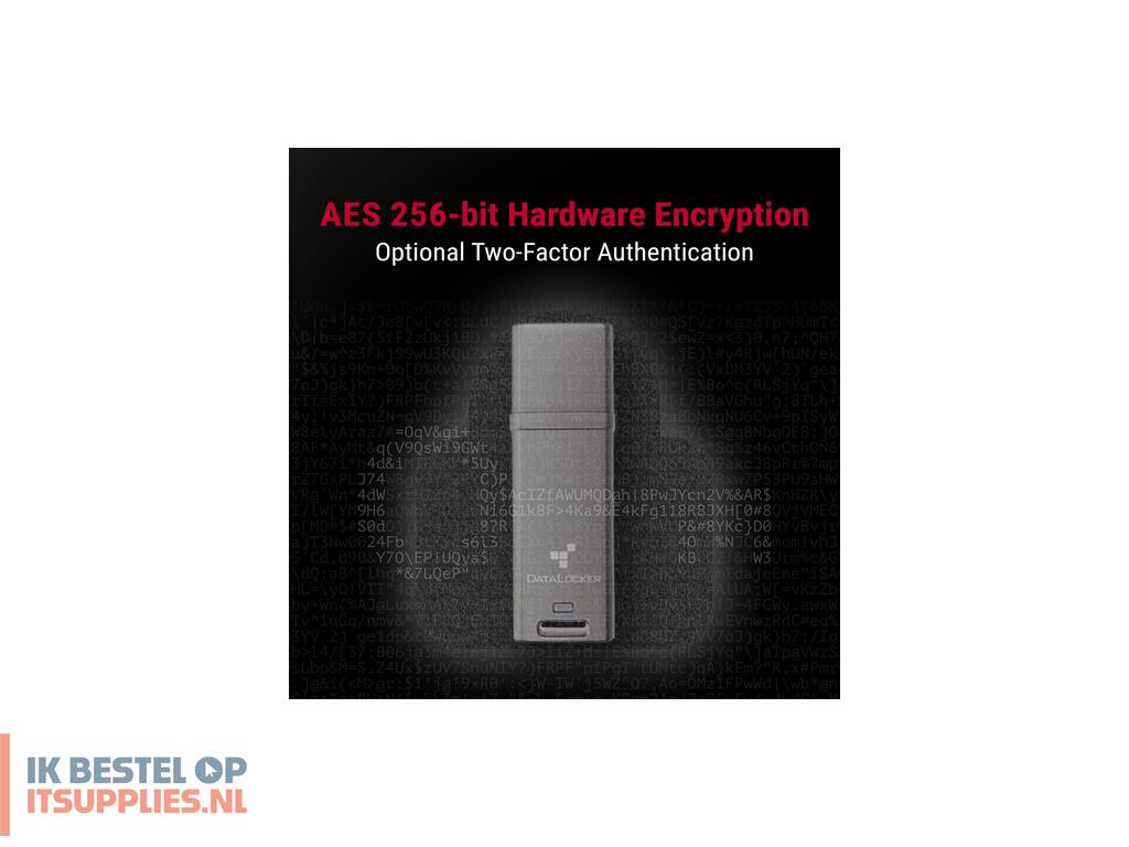 1746032-datalocker_dl_go_usb_flash_drive_64_gb_usb_type-a_32_gen_2_31_gen_2_grijs