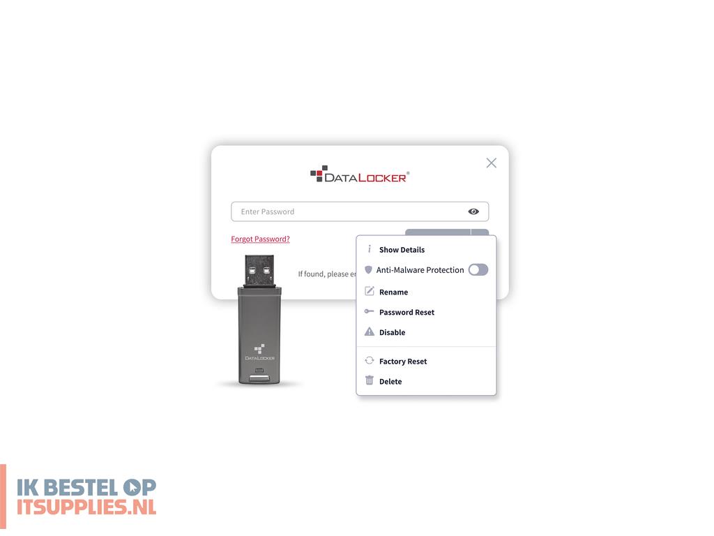 1754828-datalocker_dl_go_usb_flash_drive_64_gb_usb_type-a_32_gen_2_31_gen_2_grijs