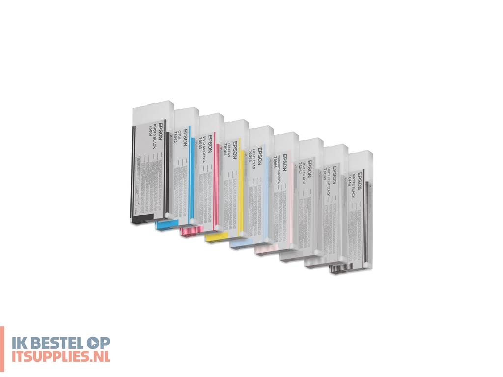 0438092-epson_t6067_inktcartridge_1_stuks_origineel_licht_zwart