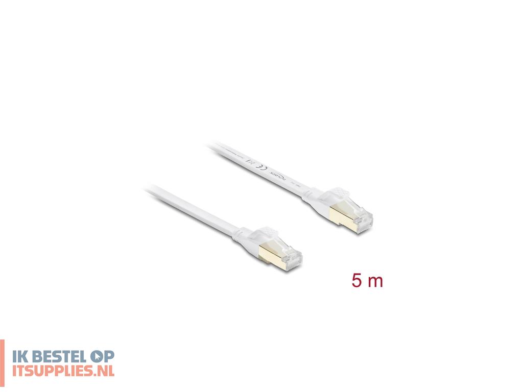 3157524-delock_81028_netwerkkabel_wit_5_m_cat81_uftp_stp