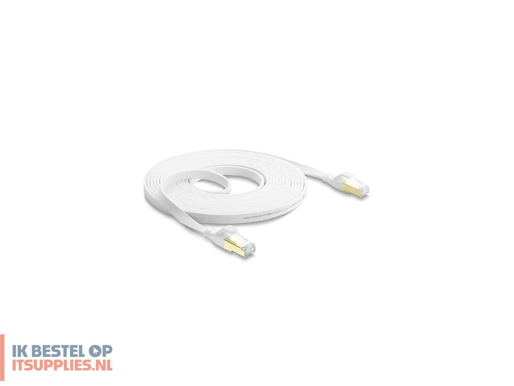 3159198-delock_81028_netwerkkabel_wit_5_m_cat81_uftp_stp