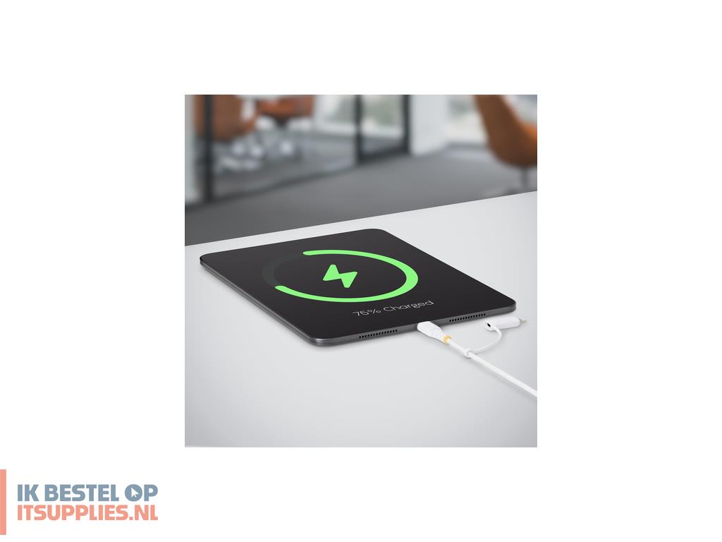 1522291-startechcom_1m-u2-lntc-cable_usb-kabel_wit