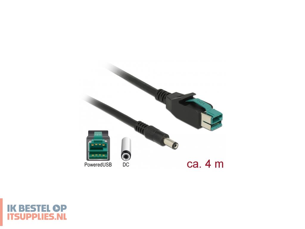 0247443-delock_85500_electriciteitssnoer_zwart_4_m_poweredusb