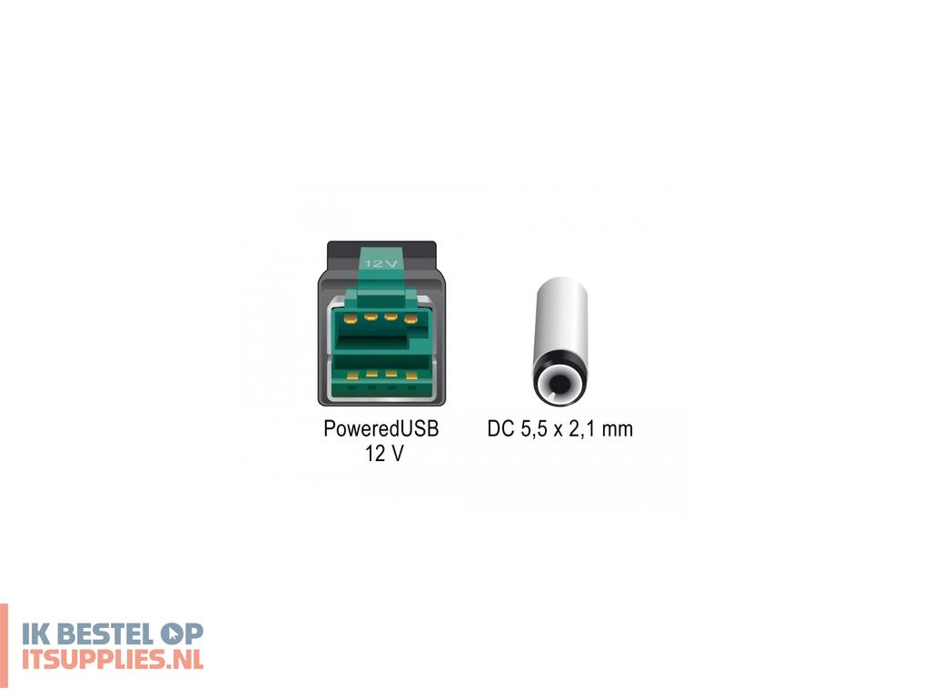 0254864-delock_85500_electriciteitssnoer_zwart_4_m_poweredusb