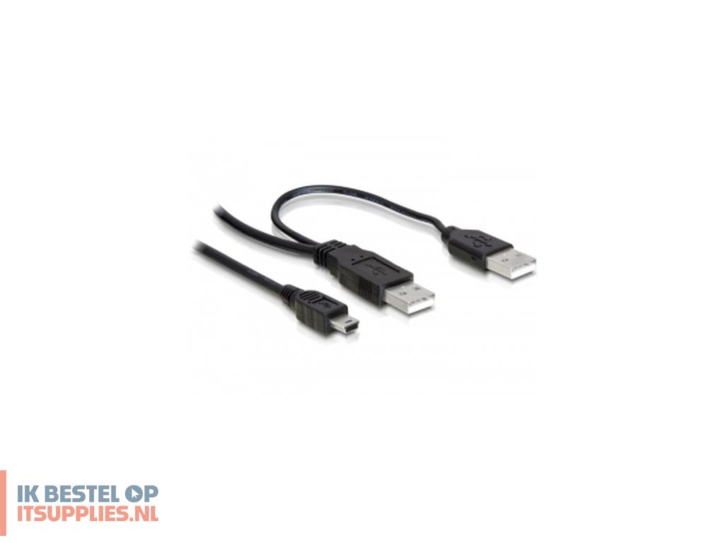 0531137-delock_2x_usb20-a_male__usb_mini_5-pin_usb-kabel_1_m_usb_a_mini-usb_b_zwart