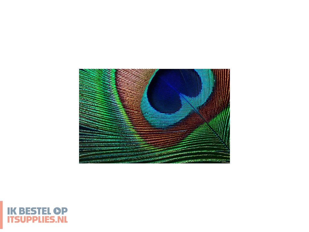 3749658-epson_eh-tw7000_projector_met_normale_projectieafstand_3000_ansi_lumens_3lcd_uhd_4k_3840x2160_3d_wit