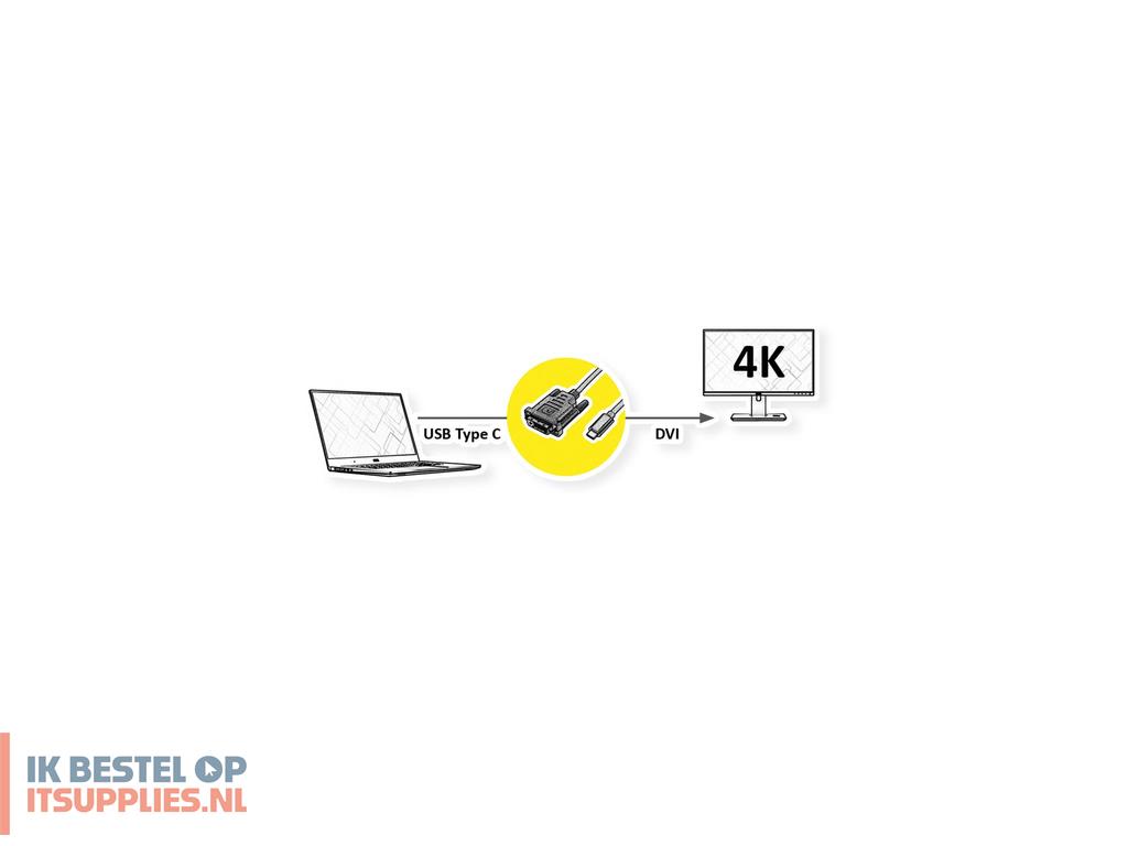 3330298-roline_11045831_dvi-d_usb_type-c_zwart